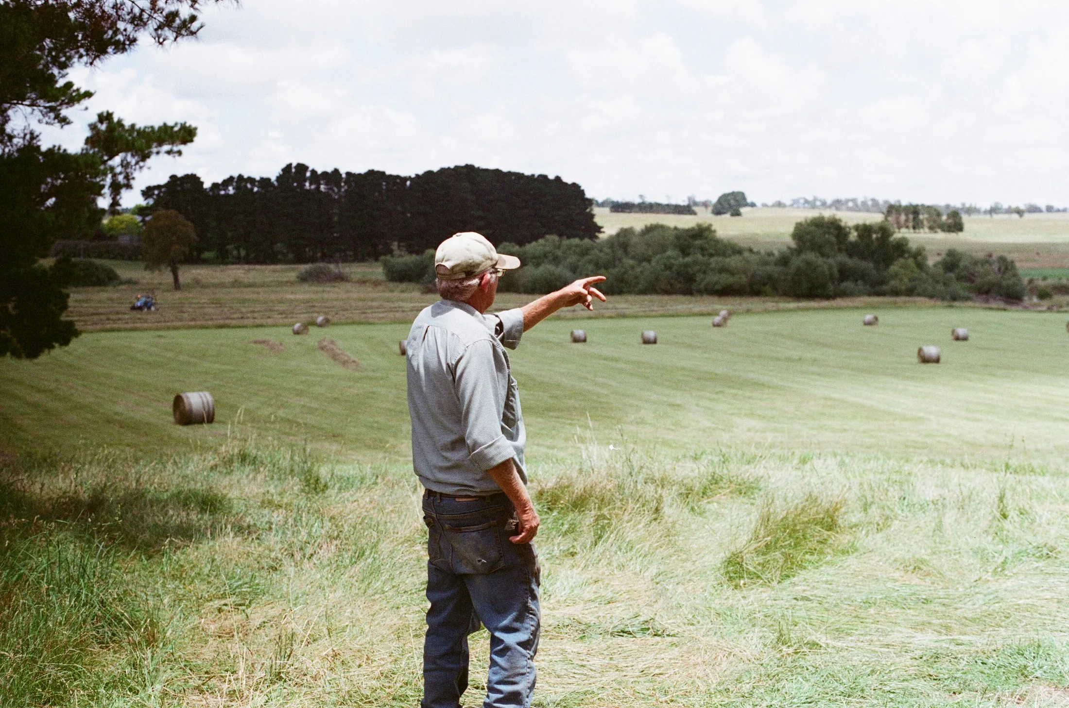 A farm manager looking across the fields