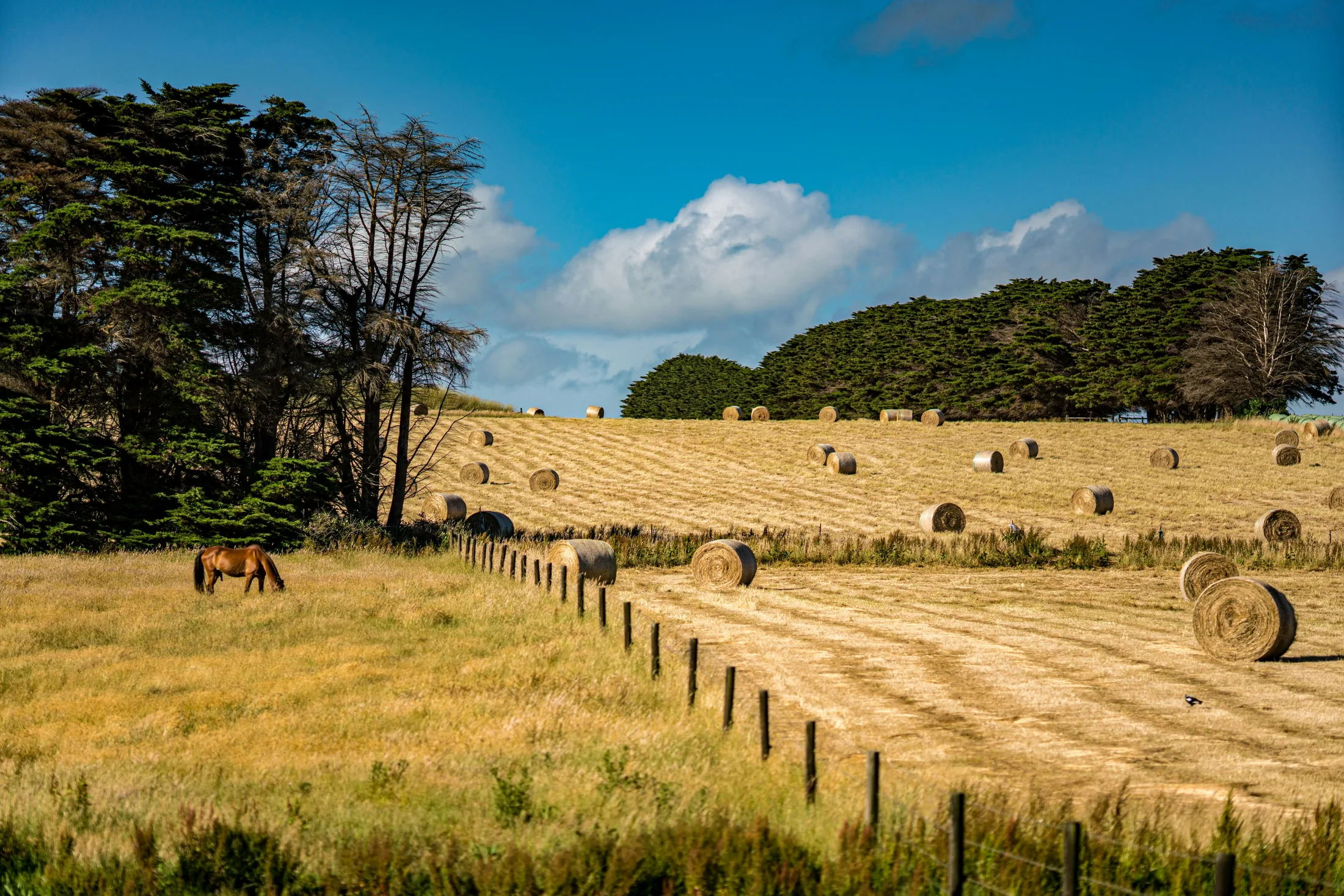 Hay harvest at Willow Bend