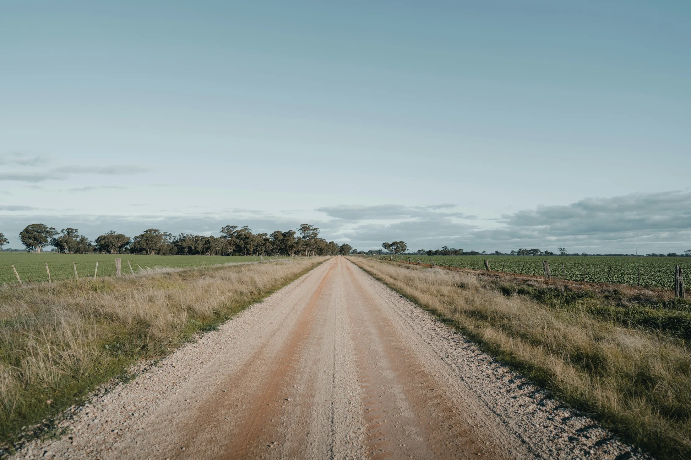 A country road running through productive farmland